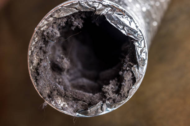Best Ventilation Cleaning Services  in Bon Secour, AL