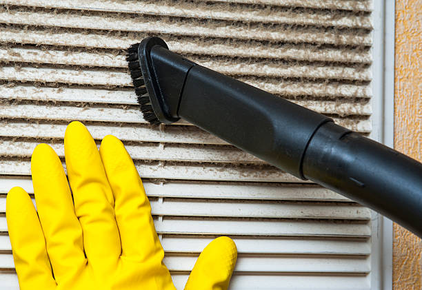 Best Dryer Vent Cleaning Services  in Bon Secour, AL