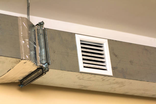 Air Duct Mold Removal in AL